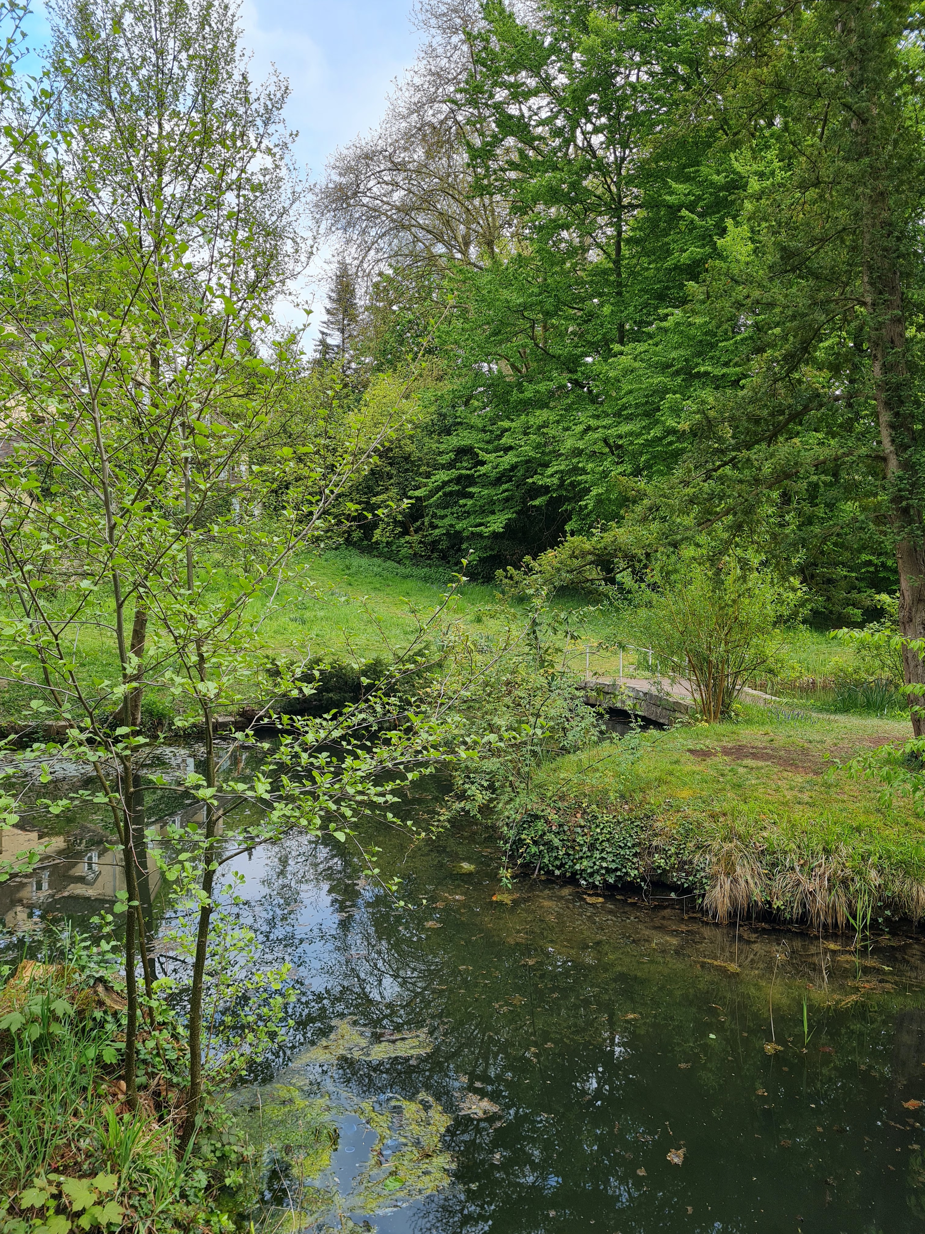 Photo n° 8 de l'avis de Murielle.a fait le 29/04/2021 à 18:58