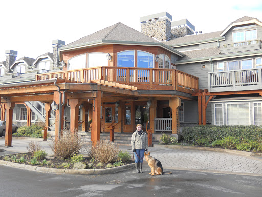 Tourist Attraction «Haystack Rock», reviews and photos, US-101, Cannon Beach, OR 97110, USA