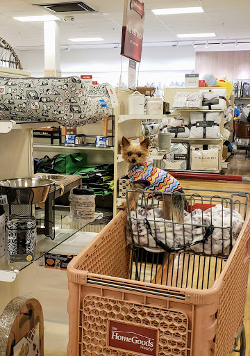 Department Store «HomeGoods», reviews and photos, 6262 State St, Murray, UT 84107, USA