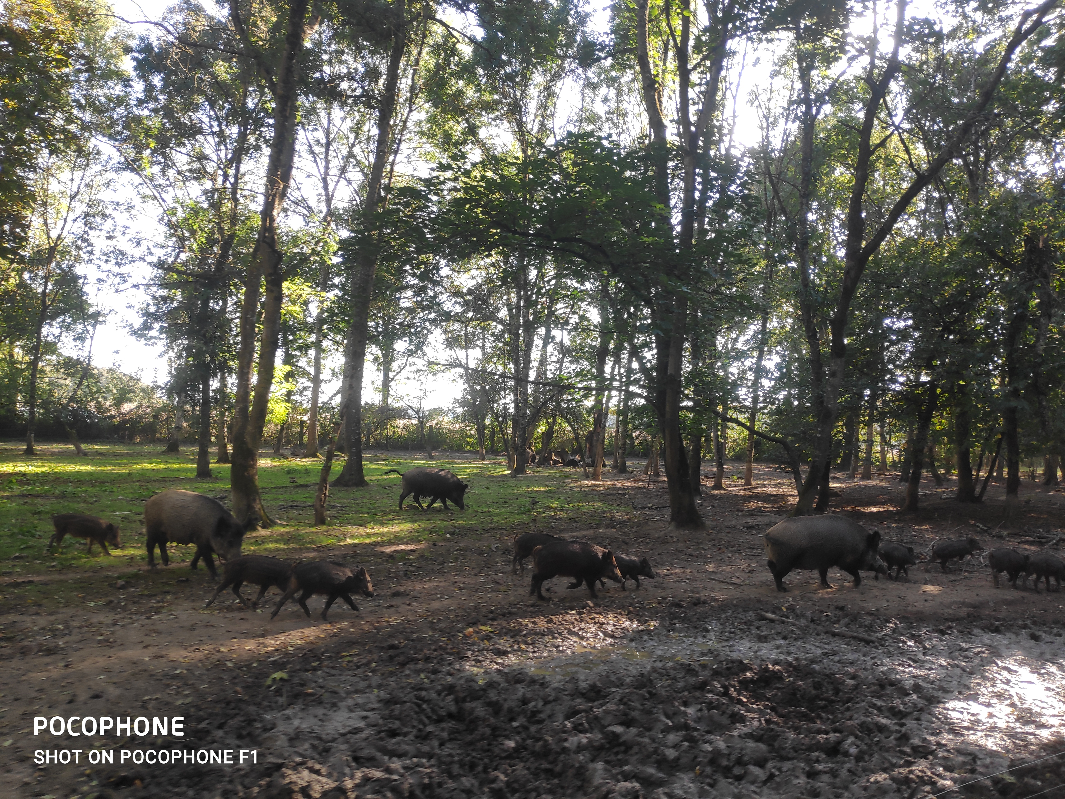 Photo n° 4 de l'avis de Christophe.u fait le 16/10/2021 à 16:00