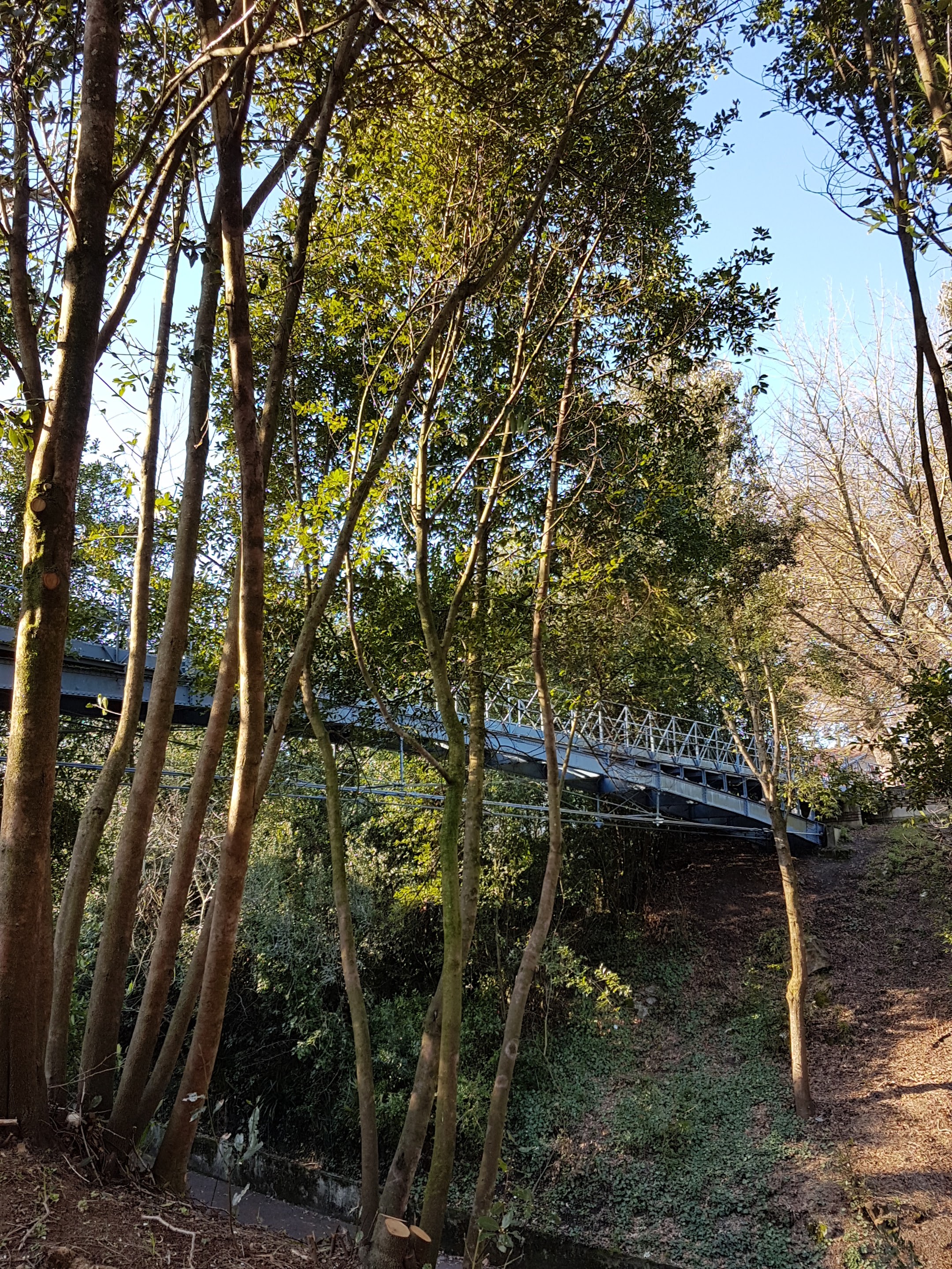 Photo n° 5 de l'avis de Olivier.o fait le 22/02/2020 à 21:30