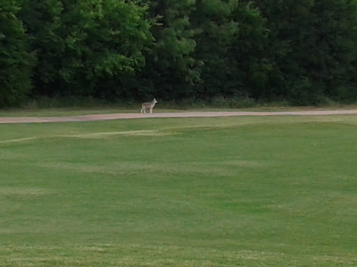 Golf Course «Tangle Ridge Golf Club», reviews and photos, 818 Tangle Ridge Dr, Grand Prairie, TX 75052, USA