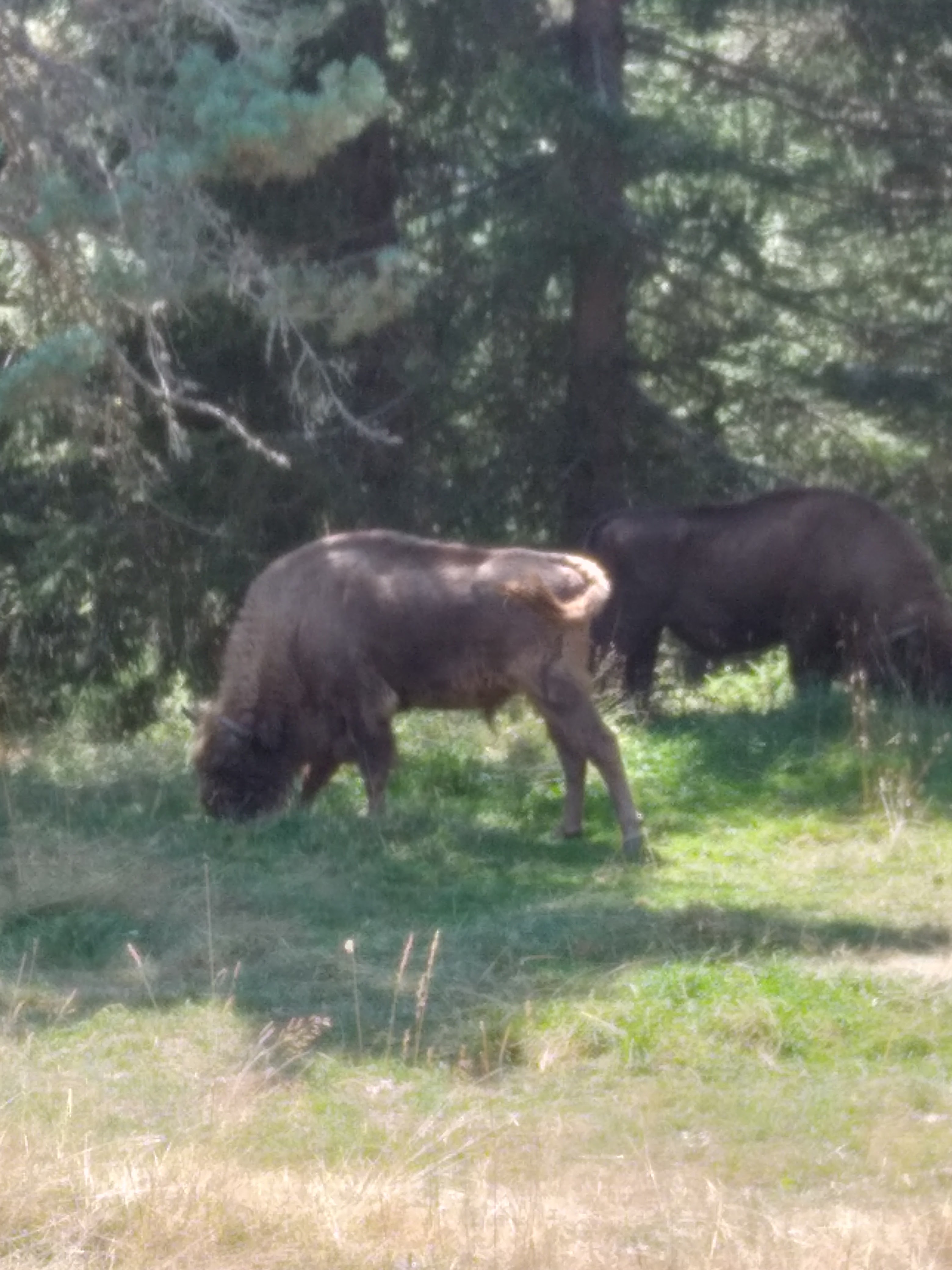 Photo n° 1 de l'avis de Olivia.a fait le 22/08/2023 à 10:37