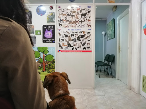 Clínica Veterinaria Amigos en Vigo