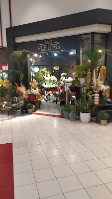 Les Fleurs à Urrugne