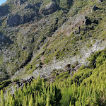 Photo n°6 de l'avis de Andrii.e fait le 16/12/2023 à 11:07 sur le  Casa de Abrigo do Pico Ruivo à Fazenda