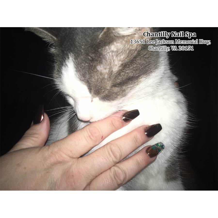 Chantilly Nail Spa 20151