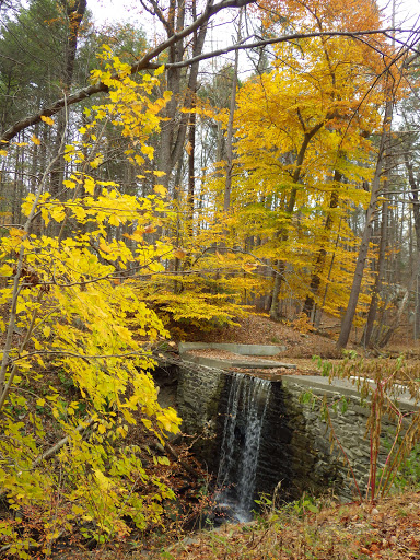 National Park «Home of Franklin D. Roosevelt National Historic Site», reviews and photos