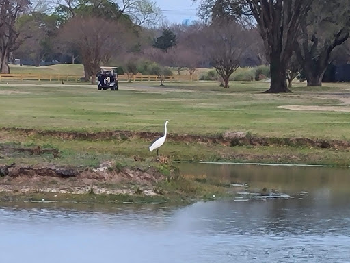 Golf Course «Jersey Meadow Golf Course», reviews and photos, 8502 Rio Grande St, Jersey Village, TX 77040, USA
