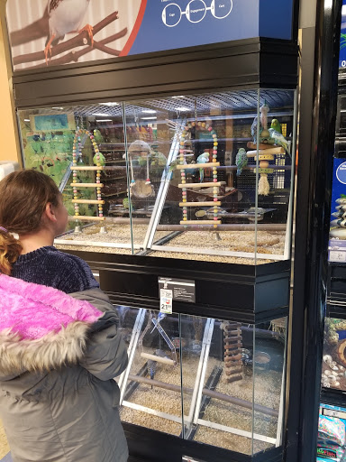 Pet Supply Store «PetSmart», reviews and photos, 215 Needham St, Newton, MA 02464, USA