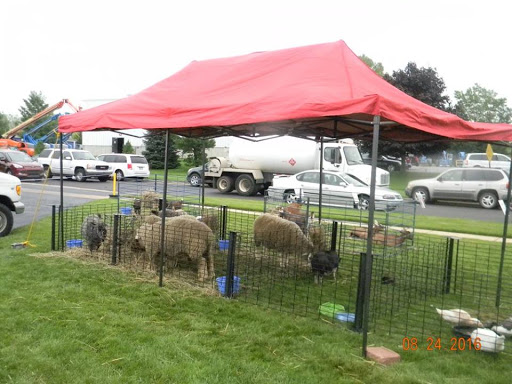 Auto Body Shop «Auto Body Xperts», reviews and photos, 3483 Highland Dr, Hudsonville, MI 49426, USA