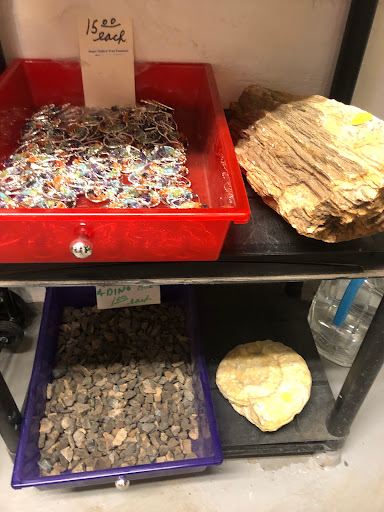 Gift Shop «Stone Hut Fossil Shop», reviews and photos, 1184 FM 205, Glen Rose, TX 76043, USA