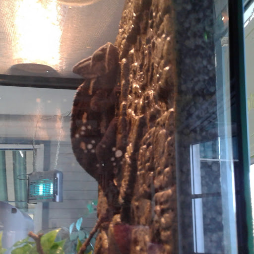 Pet Supply Store «Powell Bros. Feed & Pet Supply», reviews and photos, 1895 Broadway St, Vallejo, CA 94589, USA