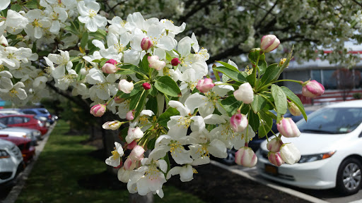 American Restaurant «Cracker Barrel Old Country Store», reviews and photos, 4 Merritt Blvd, Fishkill, NY 12524, USA