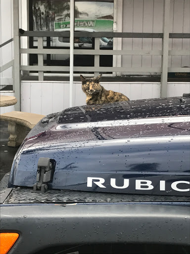 Used Car Dealer «Chadwick Auto Wholesale», reviews and photos, 1630 W Valley Blvd, Colton, CA 92324, USA