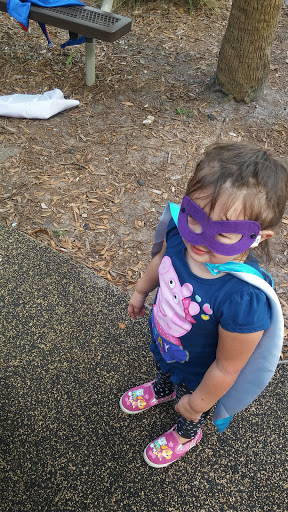 Park «Scotty Cooper Park», reviews and photos, 10849 Carrollwood Dr, Carrollwood, FL 33618, USA