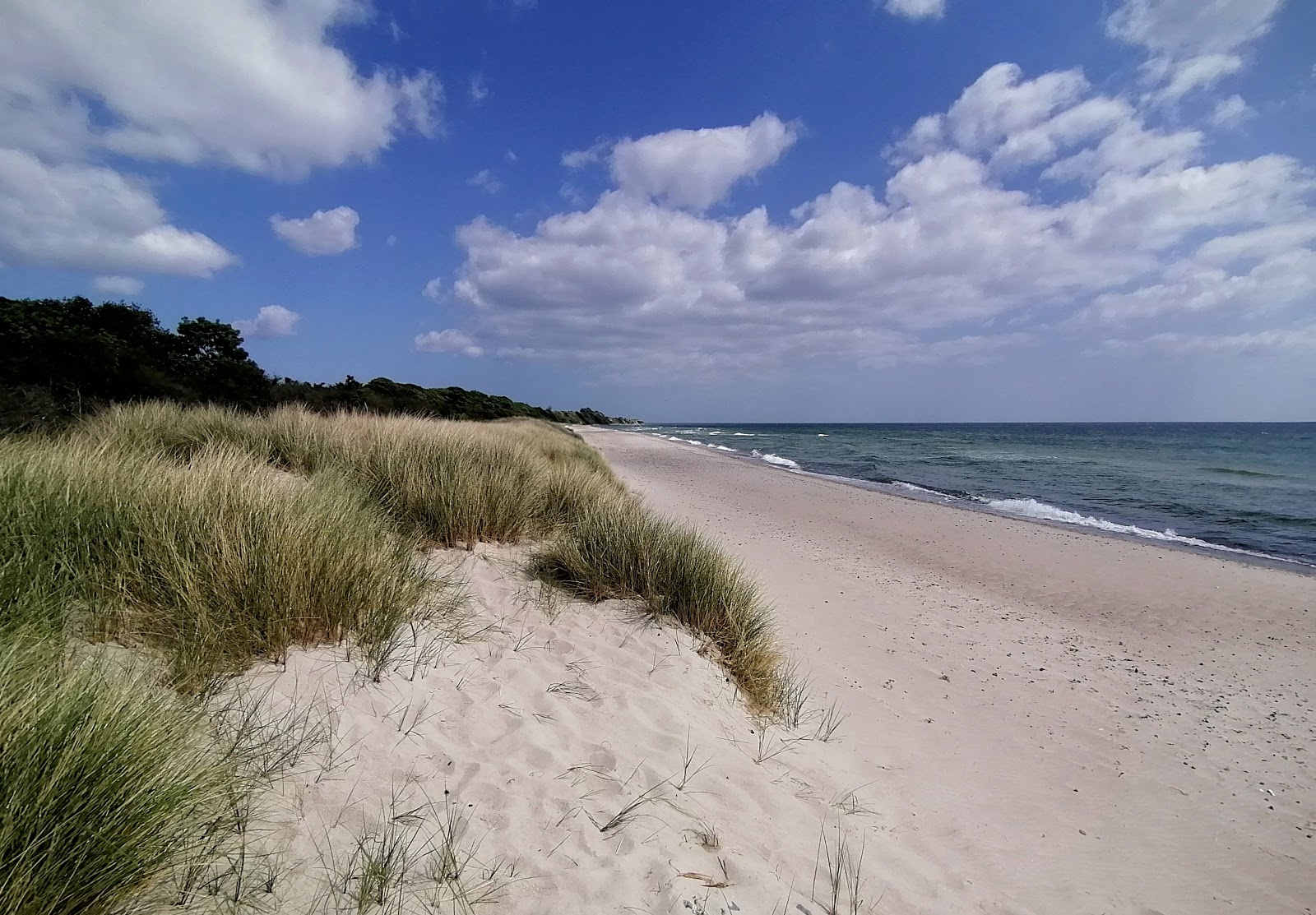 Klintholm Beach的照片 带有明亮的沙子表面