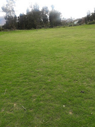 Campo Deportivo "Franco Pérez"