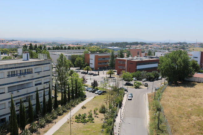 Avaliações doNOVA School of Science and Technology | FCT NOVA em Almada - Universidade