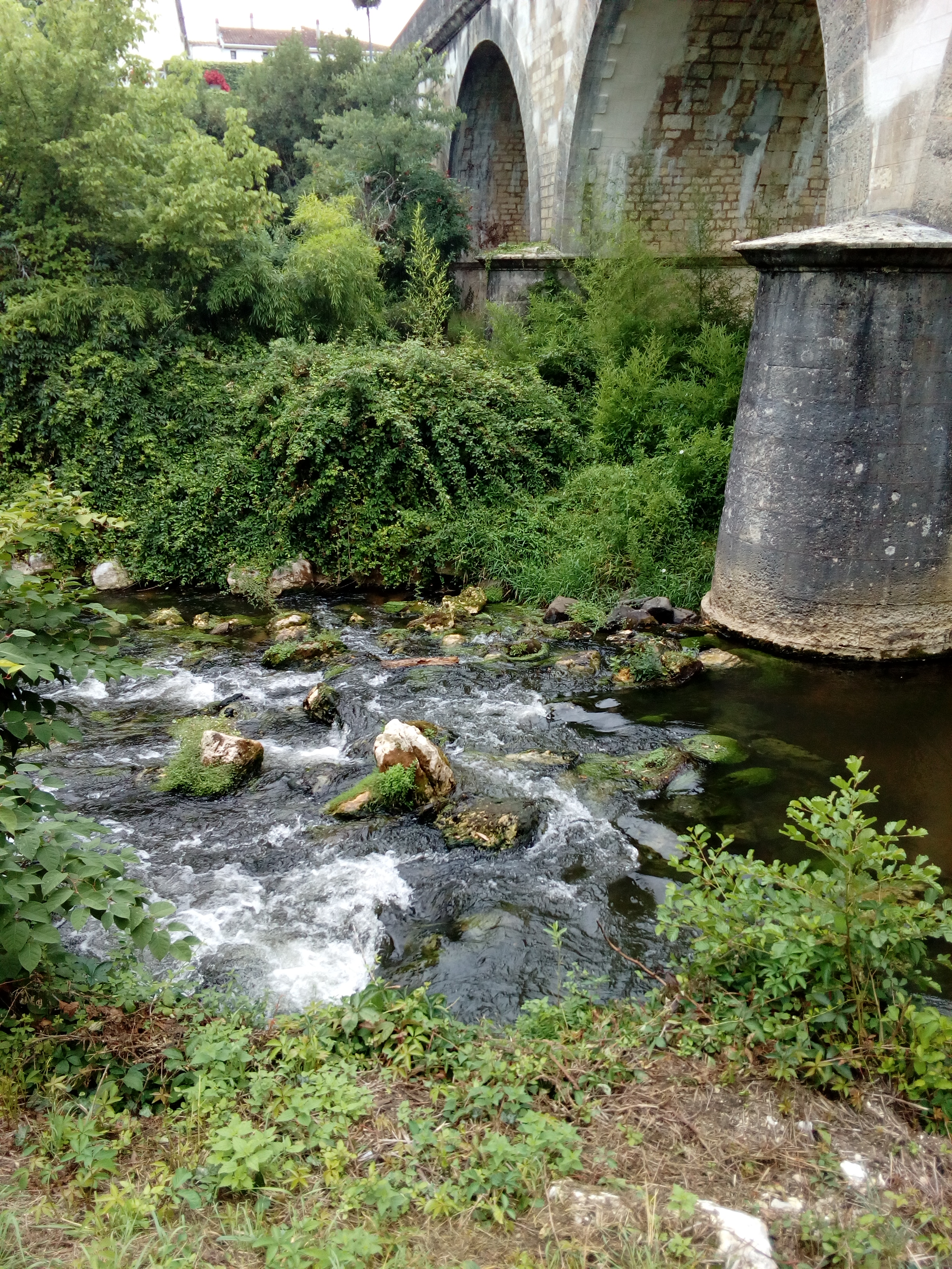 Photo n° 2 de l'avis de Clem.I fait le 31/07/2017 à 21:27