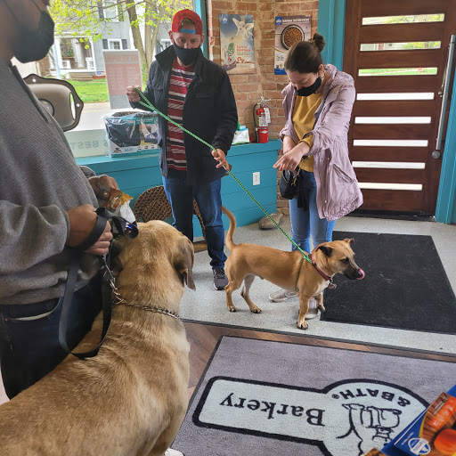 Pet Supply Store «Brookside Barkery & Bath», reviews and photos, 118 W 63rd St, Kansas City, MO 64113, USA