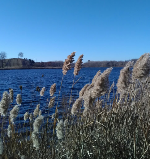 Nature Preserve «Oakhurst Forest Preserve», reviews and photos, 1680 5th Ave, Aurora, IL 60504, USA