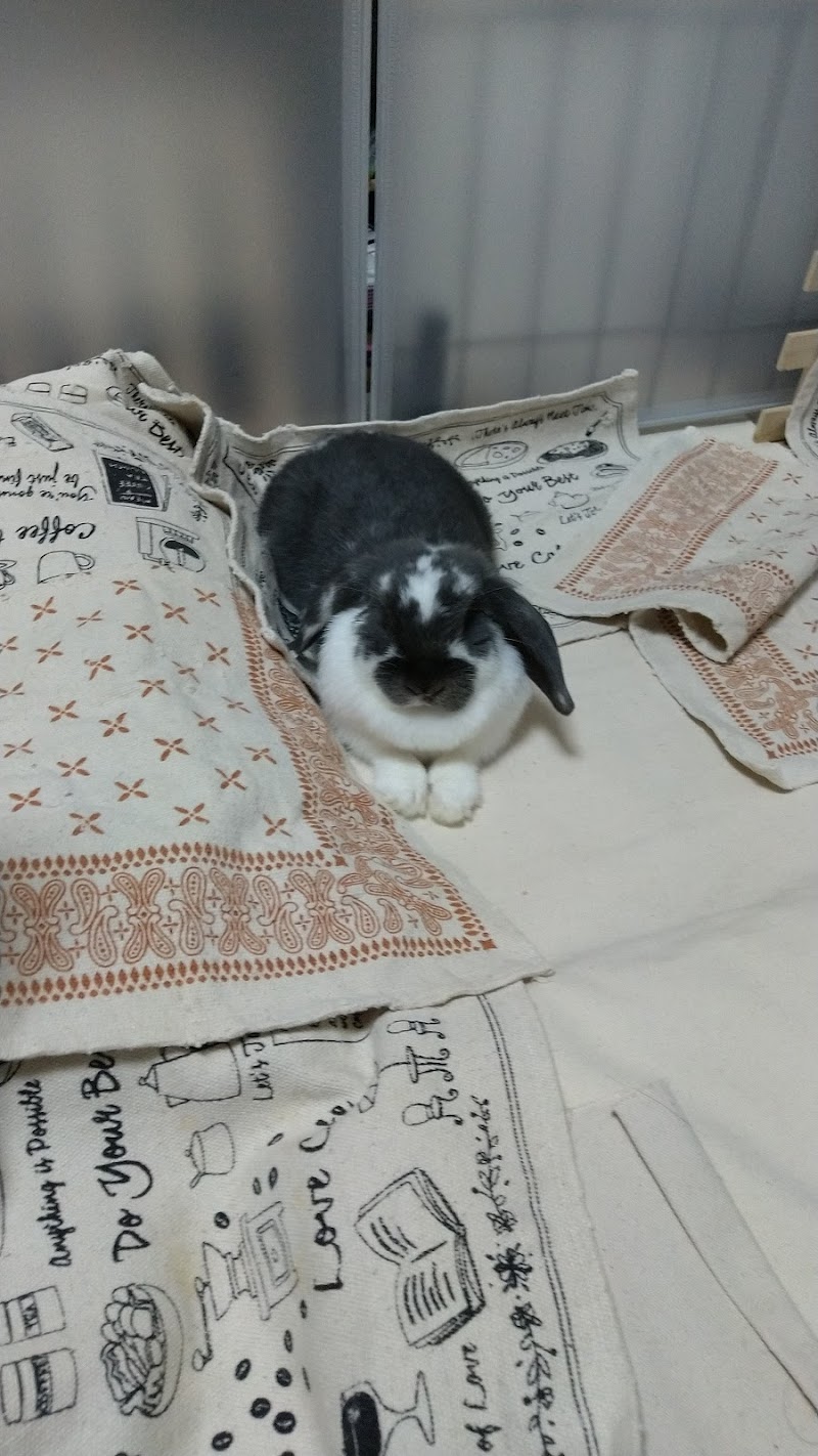 ホームセンタームサシ長野南店 長野県長野市篠ノ井杵淵 ホームセンター ホームセンター グルコミ