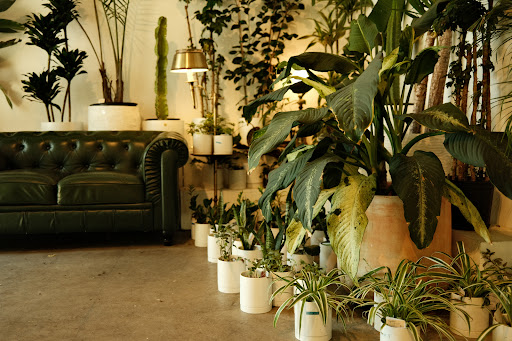 Florist «Ampersand», reviews and photos, 80 Albion St, San Francisco, CA 94103, USA