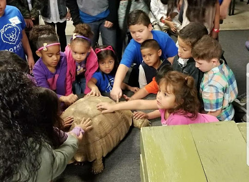 Reptile Store «Paramount Pet Entertainment - Reptile Parties & more!», reviews and photos, 8055 Rosecrans Ave #107, Paramount, CA 90723, USA