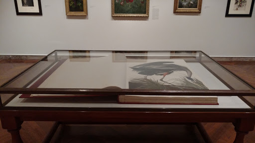 Art Gallery «Addison Gallery of American Art», reviews and photos, 180 Main St, Andover, MA 01810, USA