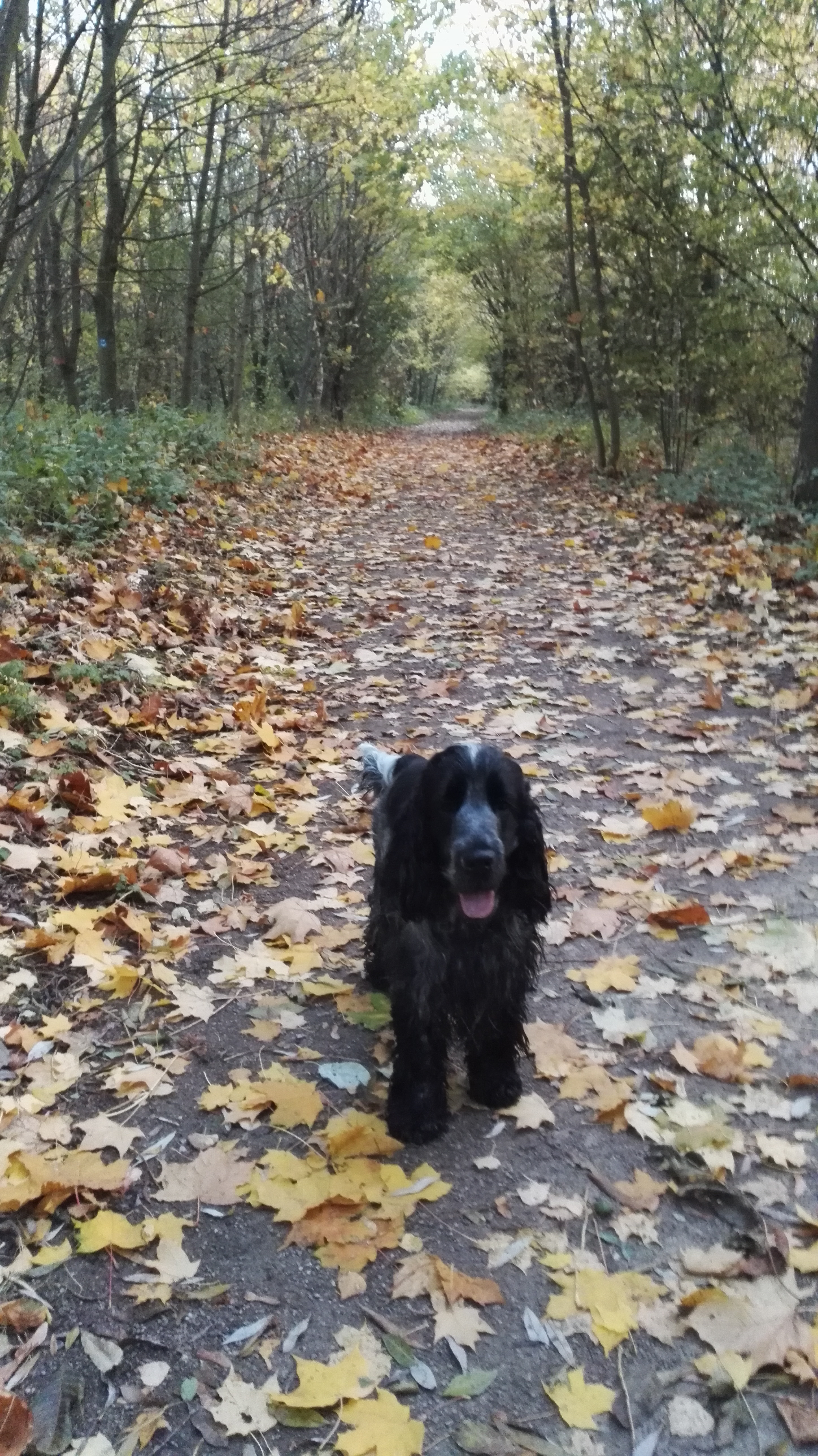Photo n° 1 de l'avis de Jeremy.a fait le 09/11/2018 à 07:49