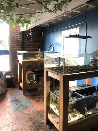 Pet Store «The Pet Works», reviews and photos, 407 4th Ave E, Olympia, WA 98501, USA