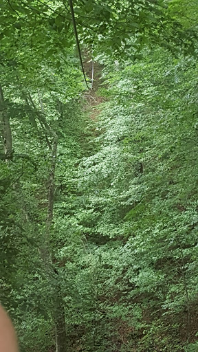 Tourist Attraction «Adventureworks Nashville West (Kingston Springs)», reviews and photos, 1300 Narrows of the Harpeth Rd, Kingston Springs, TN 37082, USA