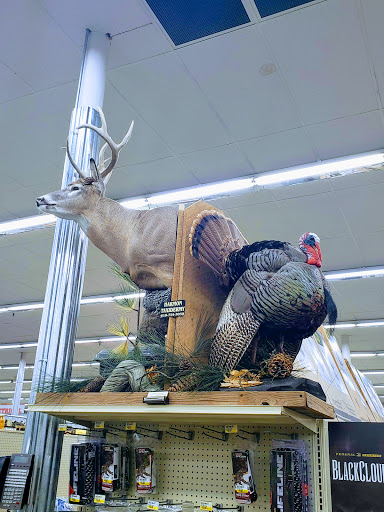 Shopping Mall «Richland County Mall», reviews and photos, 1003 N West St, Olney, IL 62450, USA