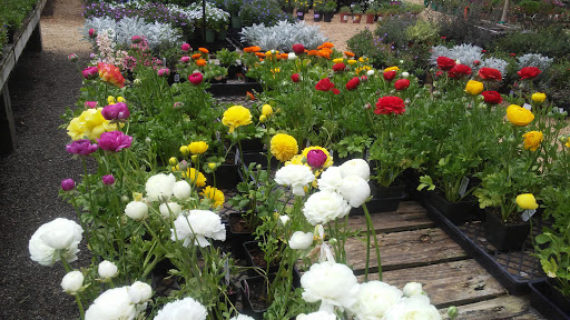 Griggs Nursery image