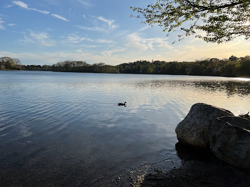 Park «Spy Pond Park», reviews and photos, Pond Lane, Arlington, MA 02474, USA