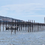 Photo n° 8 de l'avis de beatrix.o fait le 26/04/2023 à 12:06 pour Ostréisud - Dégustation d'Huitres de Bouzigues à Loupian