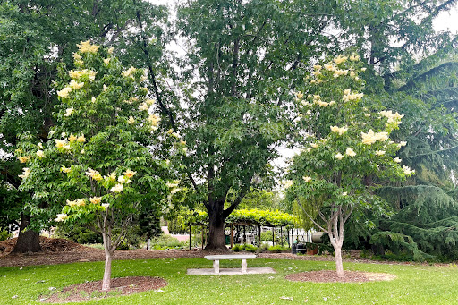 Arboretum «Yakima Area Arboretum», reviews and photos, 1401 Arboretum Dr, Yakima, WA 98901, USA