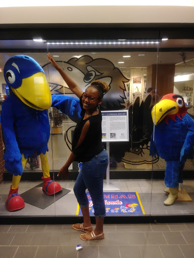 Book Store «KU Bookstore», reviews and photos, 1301 Jayhawk Blvd, Lawrence, KS 66045, USA