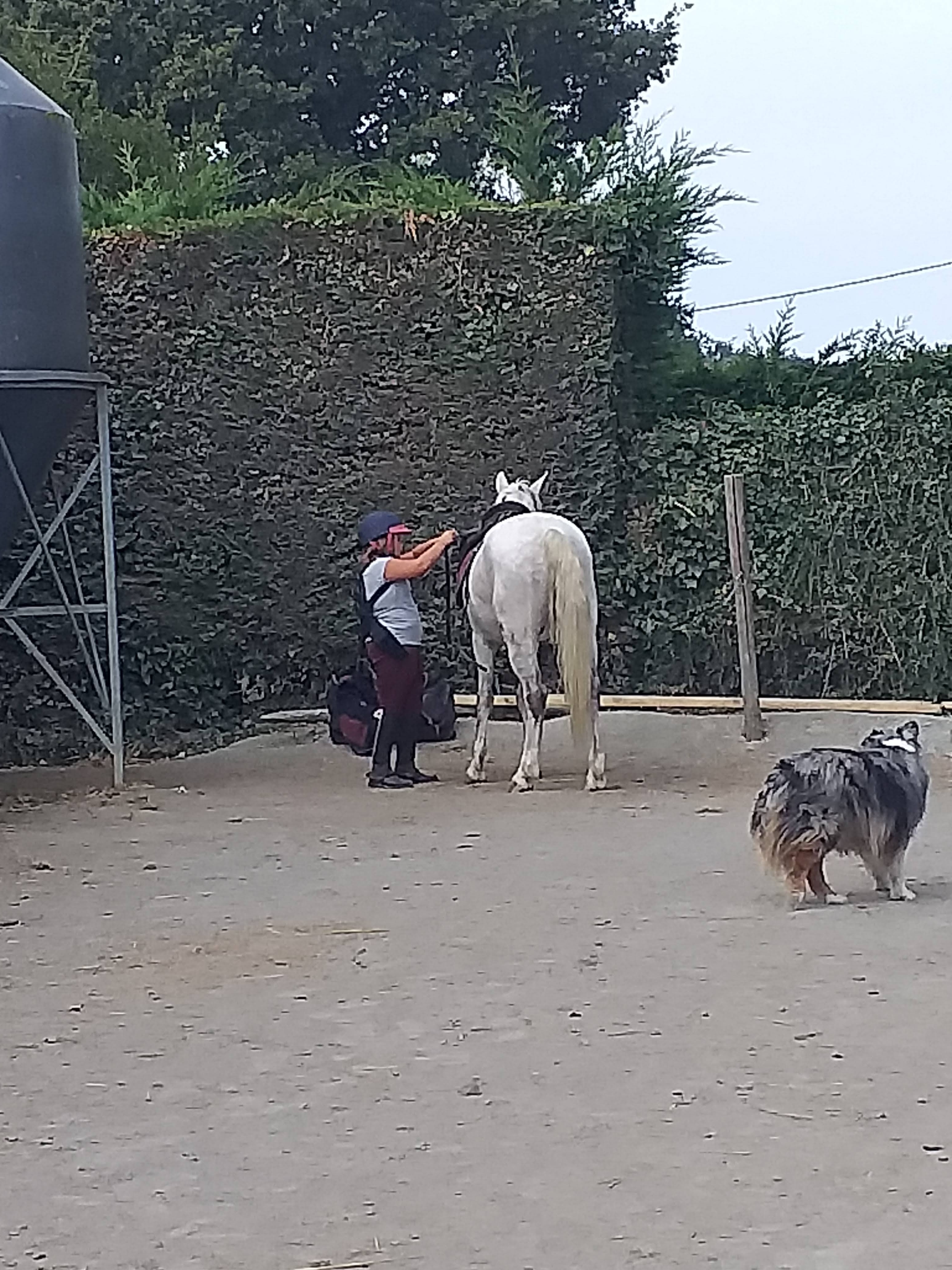 Photo n° 6 de l'avis de Sebastien.o fait le 26/09/2020 à 17:50