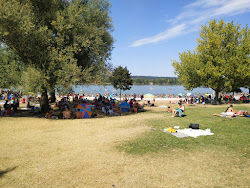 Photo de Morlet Beach zone des équipements