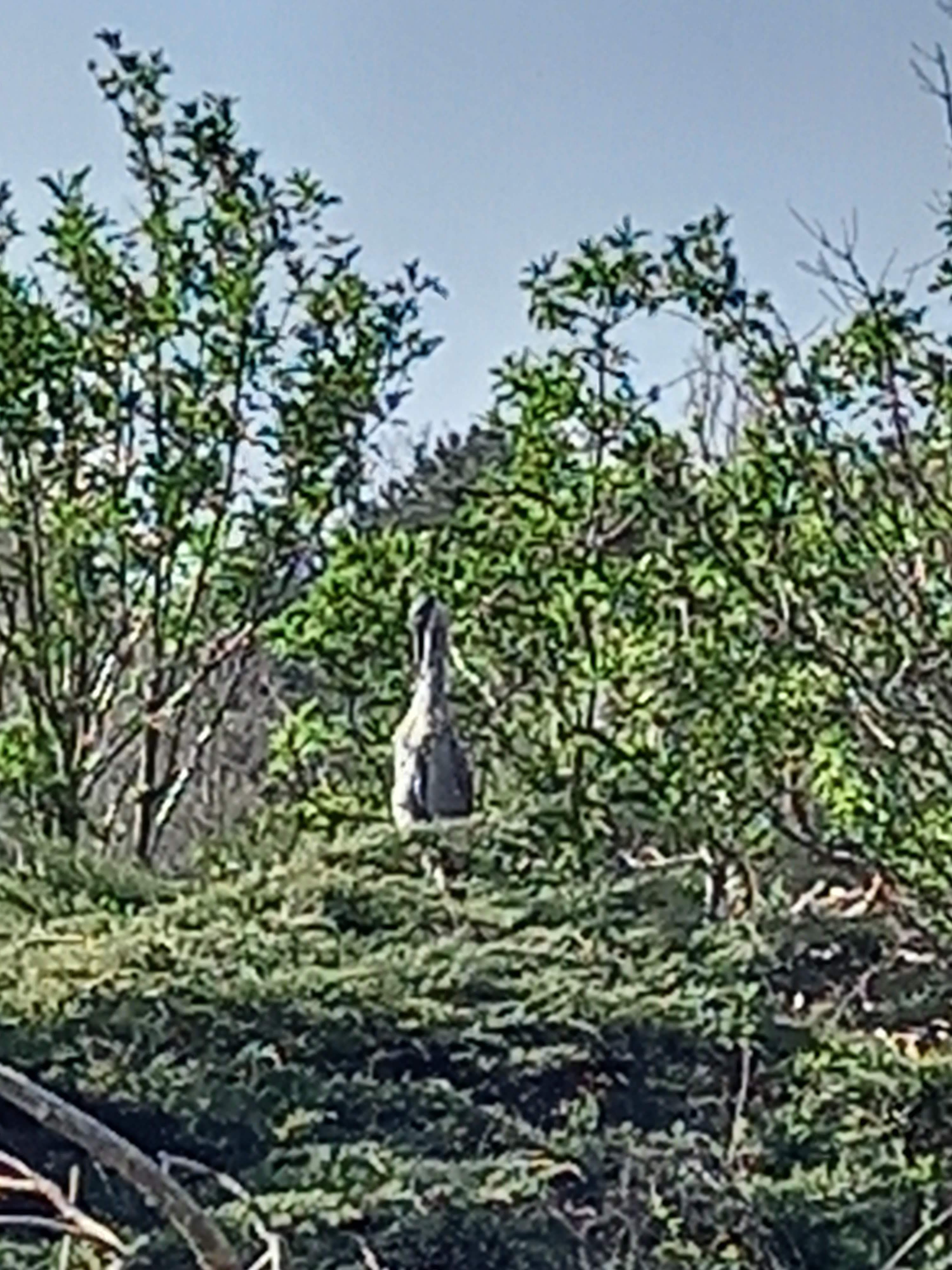 Photo n° 12 de l'avis de Stéphanie.I fait le 13/04/2021 à 18:48