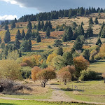 Photo n° 5 de l'avis de Thx52.a fait le 15/10/2018 à 20:38 pour Ferme-auberge Musmiss à Soultzeren