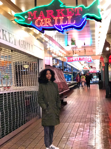 Park «Waterfront Park», reviews and photos, 1401 Alaskan Way, Seattle, WA 98101, USA