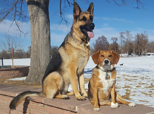 Park «Washington Park», reviews and photos, 701 S Franklin St, Denver, CO 80209, USA