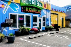 Nature Store Company image
