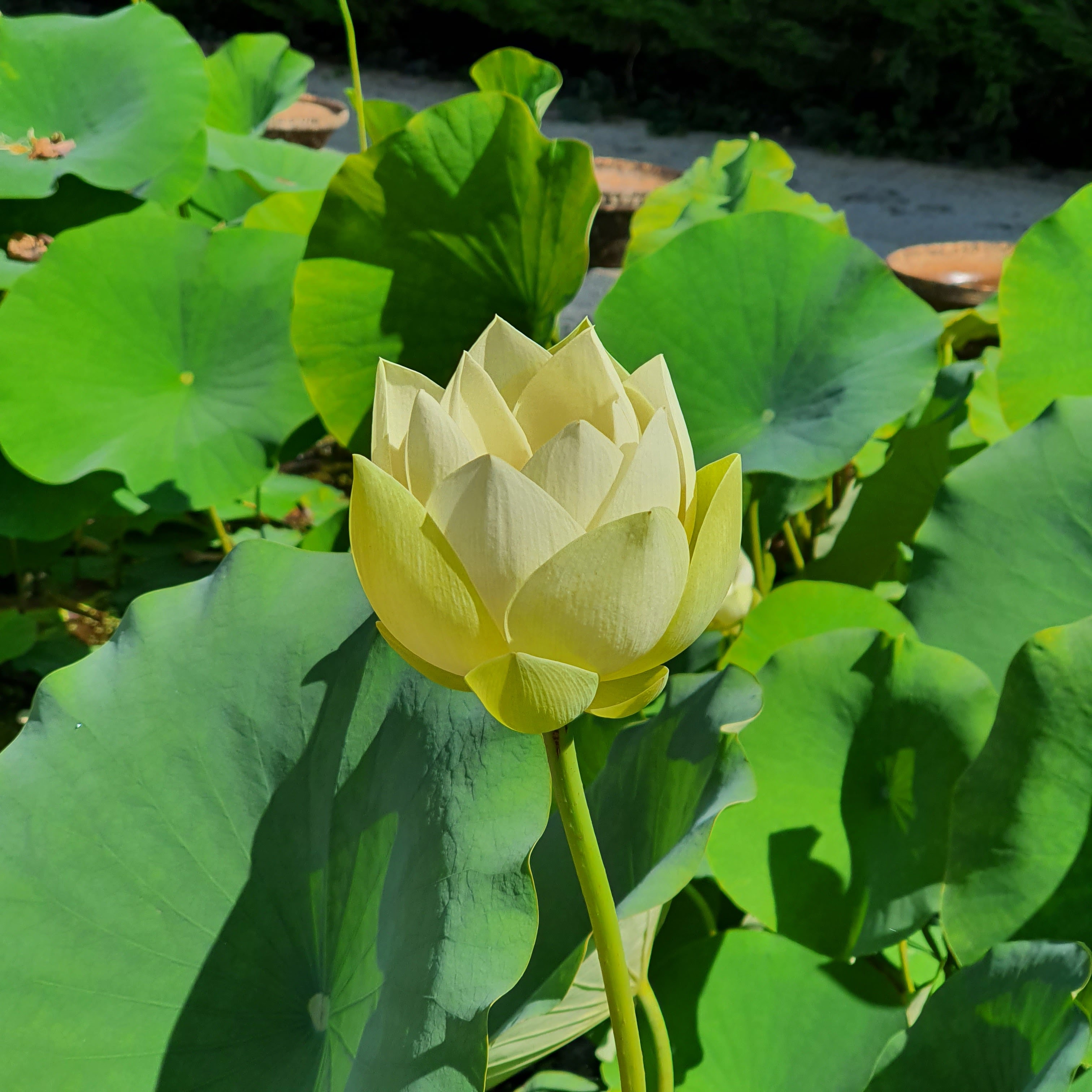 Photo n° 2 de l'avis de Guillaume. fait le 11/07/2021 à 10:11