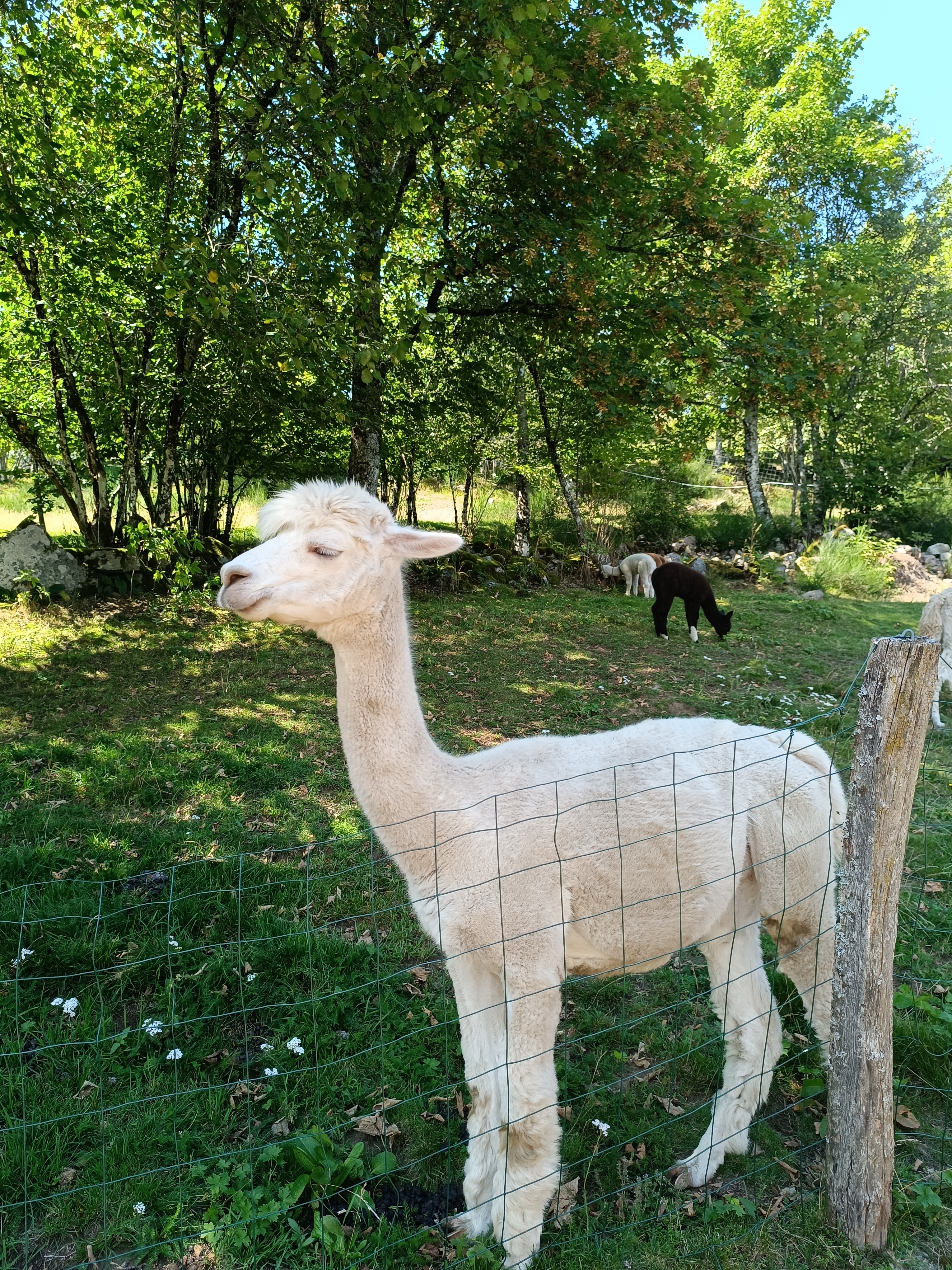 Photo n° 4 de l'avis de Jérôme.u fait le 20/08/2023 à 20:57