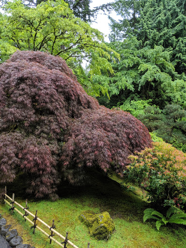 Stadium «Providence Park», reviews and photos, 1844 SW Morrison St, Portland, OR 97205, USA