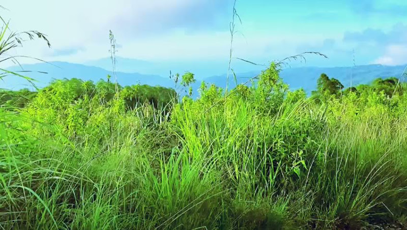 Mendaki di Nusa Tenggara Timur: Keindahan Alam yang Menakjubkan